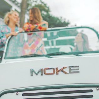 alternative text here